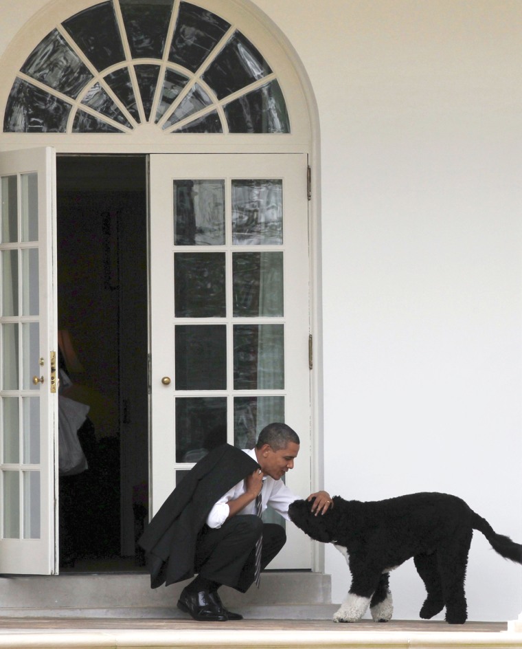 Image: U.S. President Obama bends down to pet his dog, Bo, outside the Oval Office of the White House in Washington